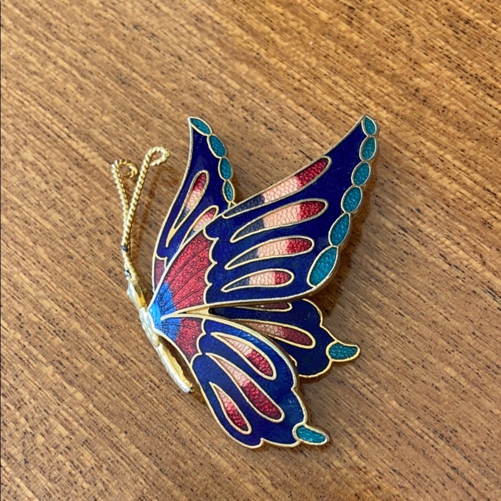 Beautiful butterfly Broch
